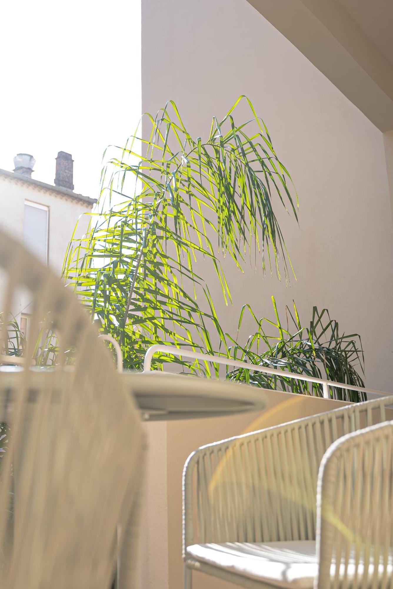 Studios Raffines Avec Terrasses - Plages, Ville Et Gare A Pied - Maison Raphael Saint-Raphael  Ngoại thất bức ảnh